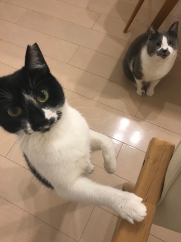 いつも前に出てくるのは決まって妹