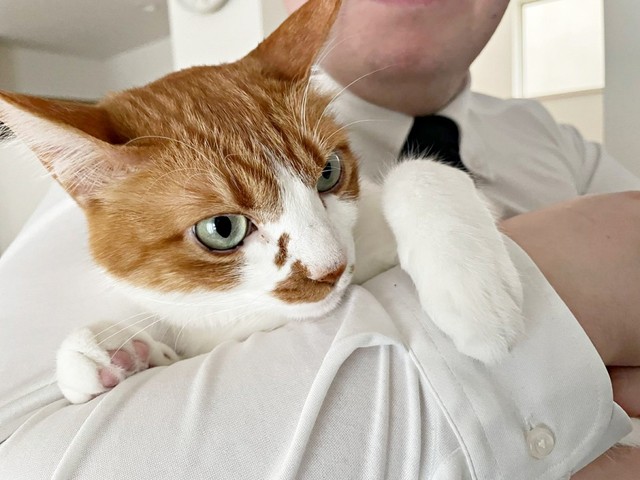 4歳。飼い主さんの夫に抱っこされご満悦なビスケットくん（画像提供：ソックスとビスケットさん）