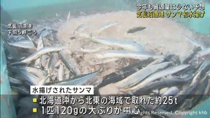 秋の味覚サンマ　宮城・気仙沼漁港に初水揚げ
