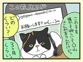 子猫あずかり、１匹予定が２匹に　やっぱ、猫じゃけぇ(24)