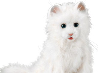 なでるとゴロゴロ　しぐさや声まで再現した「夢ねこプレミアム」