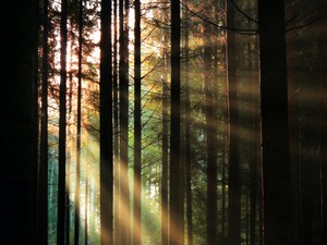 コロナ禍による強制的な変化が、私が私として生き始める原点になった