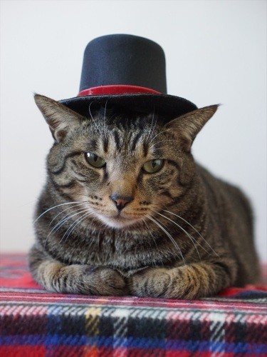 「僕は長男としてしっかりしなきゃな」甘える一方、たくましくもなったはっぴー（太っただけか）