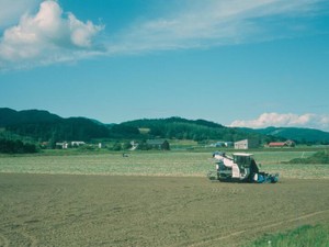 都会生活でわかった、人々が「北海道フェア」を開催し訪れる理由