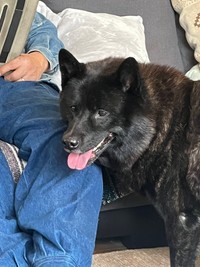 冬のもこもこひい君（提供：愛さん）