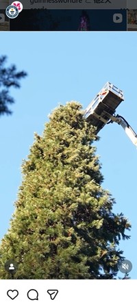 ギネス記録のインスタグラム＠guinnessworldrecordsより