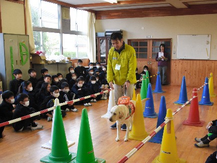 盲導犬の仕事って？　ラブラドルレトリバーが小学校を訪問、実演