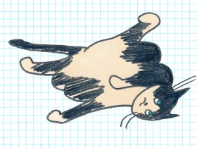 タダ飯よりうまいものはない！？　ネコもがんばった日はごはんがおいしくなるのか