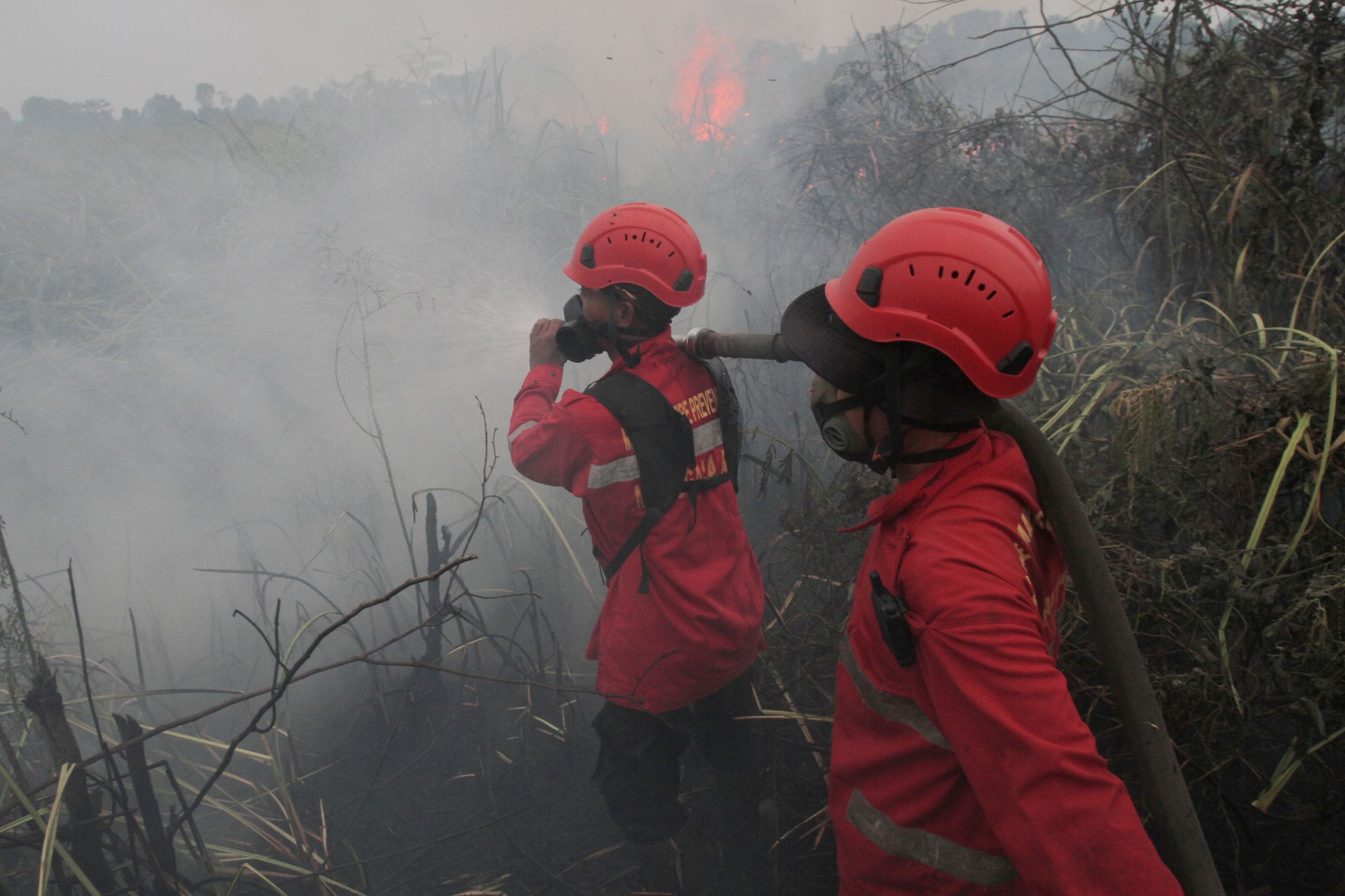 Muslims gather for rain prayers in Indonesia’s wildfire-hit South Sumatra | The Asahi Shimbun: Breaking News, Japan News and Analysis