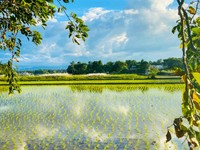 同じ日本なのに流れる時間や居心地が違う。長野にある第二のふるさと