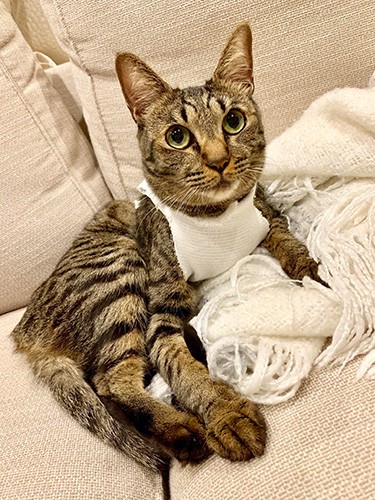 丸い目が可愛いでしょ