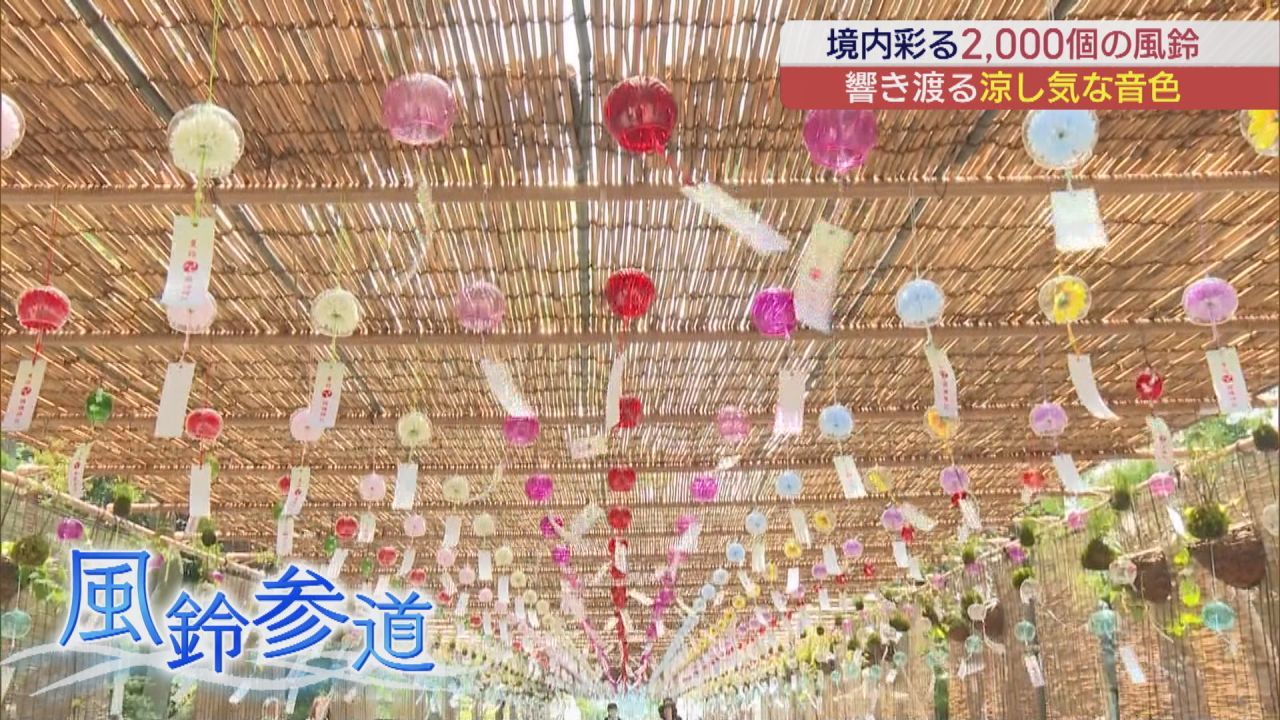 風鈴の涼やかな音色 いわき市国魂神社で夏詣 | ふくしまNEWS KFB福島放送