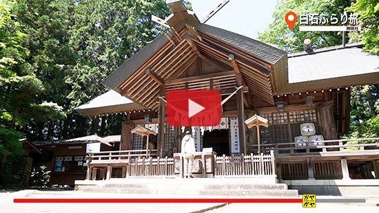#307白石ぶらり旅④神明社