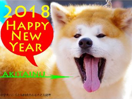 秋田犬の画像、ご自由にどうぞ！ ハチ公のふるさとが無料提供