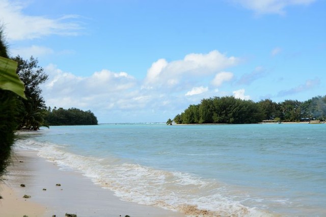クック諸島ラロトンガ島のビーチ=2022年6月24日、荒ちひろ撮影