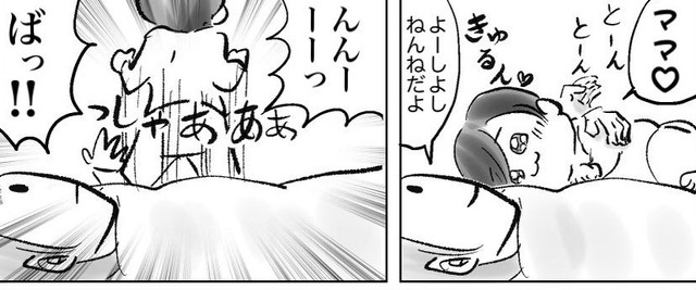 一瞬甘えてきたから寝るかと思ったら…（さにぃがぁるさん提供）
