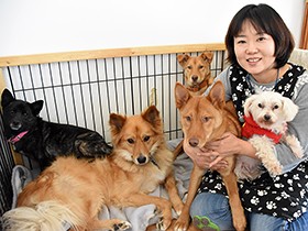 カフェやショップで保護犬・猫の里親探し　一匹でも救いたい