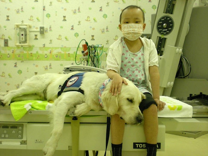 こうして寄り添うことで、治療を受ける子供をサポートする