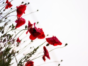 自分が嫌いだった私に、自分を愛する意味をくれた「いいナオン」