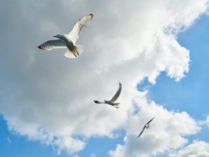 私が行う草の根運動。結婚・子育てで感じた明るい日々を伝えていく