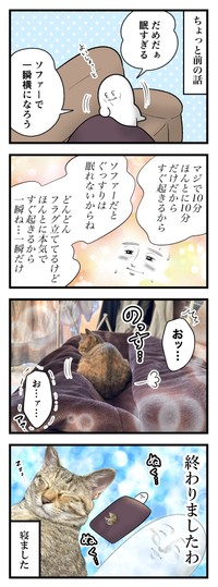 【漫画】『ネコまんがまとめ』5　（も～さんの提供）