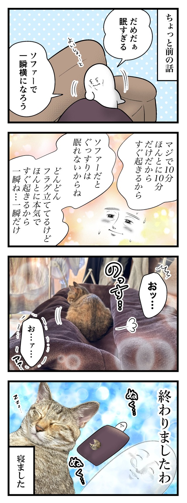 【漫画】『ネコまんがまとめ』5　（も～さんの提供）