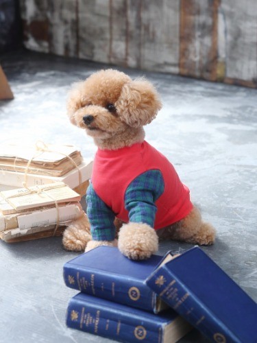 袖をカラフルなストレッチ素材に。（写真は日東書院本社提供）