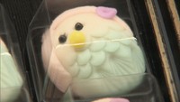 新型コロナの収束の願いをこめたアマビエの和菓子