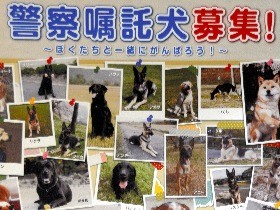 訓練すれば、犬の「捜査官」になれる　岡山県警がＰＲ