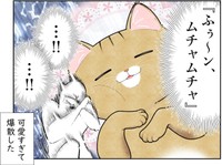 熟睡中のち～ちゃんが可愛すぎて爆散するも～さん　（も～さんの提供）