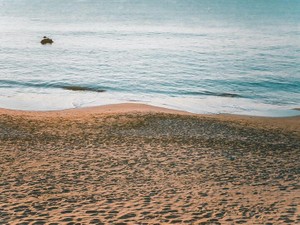 みんな「茅ヶ崎最高」なんて言うけれど、あの潮の香りが大嫌いだった