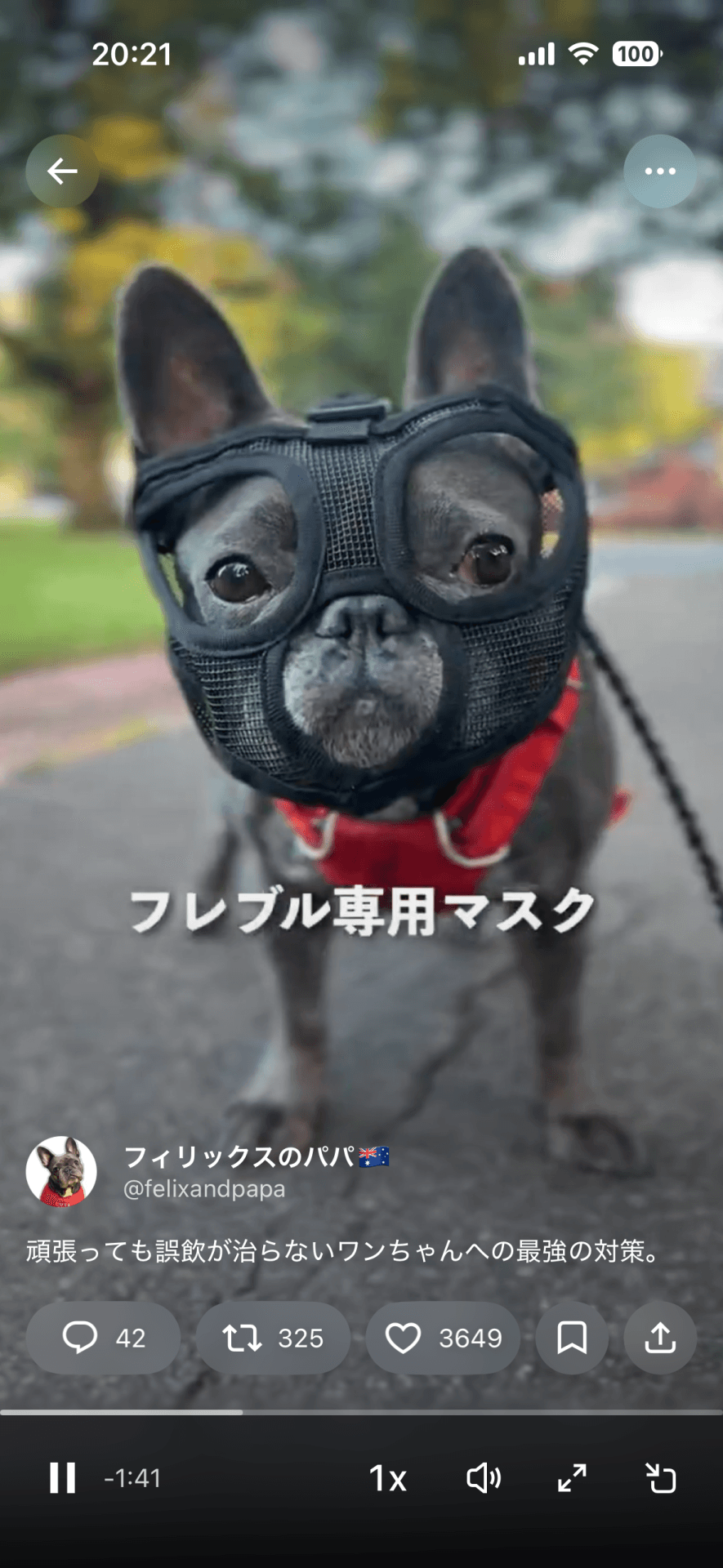 口が開いていて効果なし