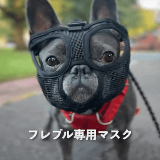 口が開いていて効果なし