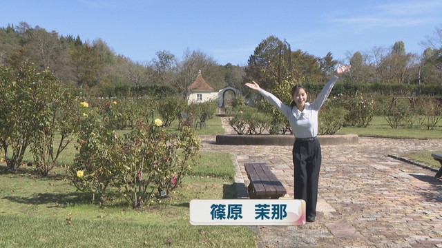 篠原茉那アナウンサー