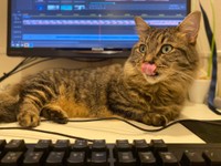 出たな！妖怪ベロベロンめ！！（提供写真）