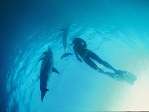 ハワイの海でイルカに恋し、国籍も名前も変えた日本人女性