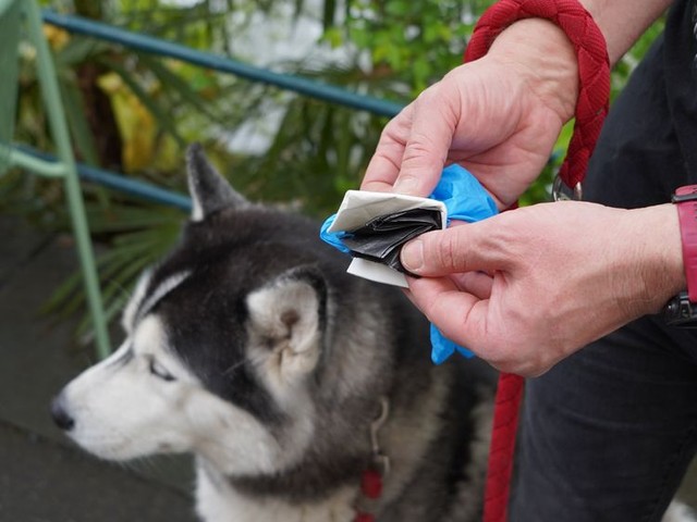 許すまじ犬のフン　DNA追跡を目指した北イタリアの観光地の今