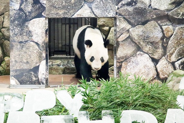 ゆっくりと登場した永明