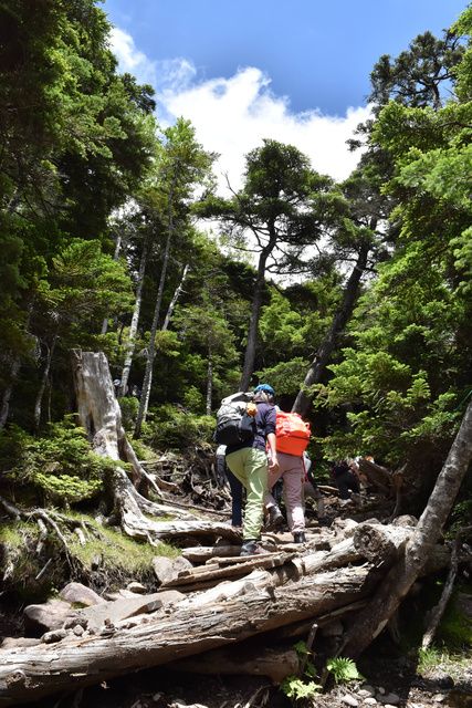 3年ぶり「山歩き会」 標高2480メートルの北横岳を満喫│朝日新聞Re