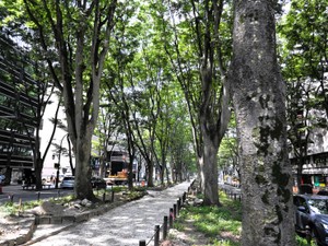 宮城編　青春の陰影がにじむ杜の都　文芸評論家・斎藤美奈子