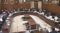 参議院内閣委員会（2021年3月）