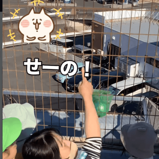 1度目の作戦は、ボールを投げて柵を飛び越える方法