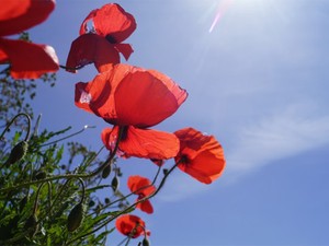 名字が変わって15年。変化し続けた新姓・旧姓との私の関係