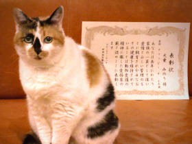 愛猫「チャッピー」に表彰状　15年一緒にいてくれた愛猫と妻の献身に、心から感謝