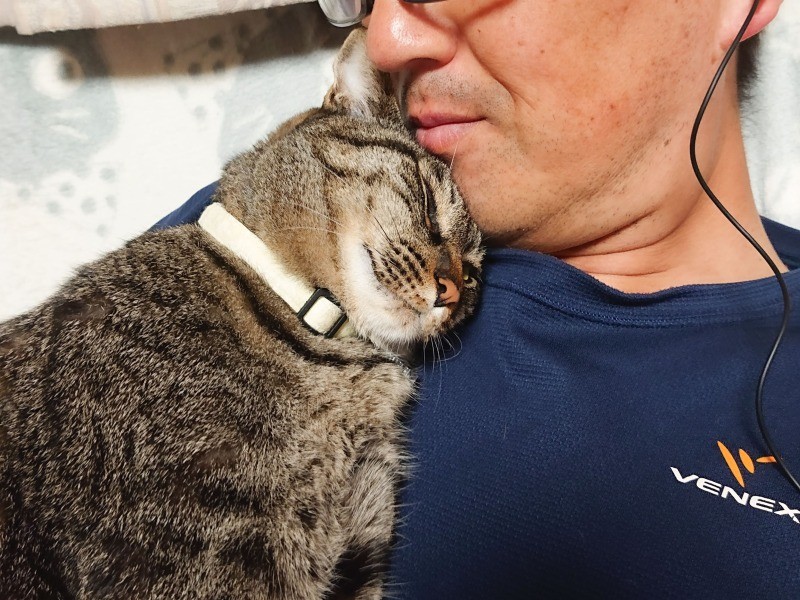 にゃんさんの夫は、にゃんたをきっかけに猫好きに（にゃんさん提供）