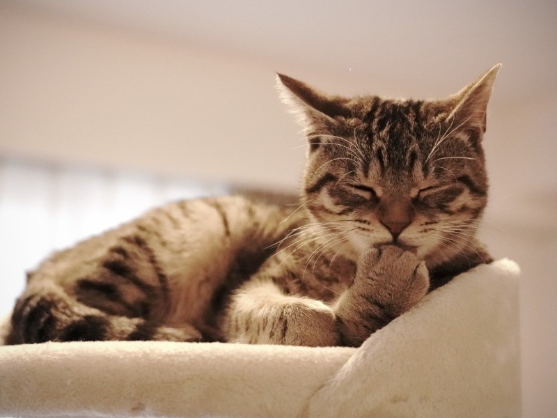 私、考えてることがあるの