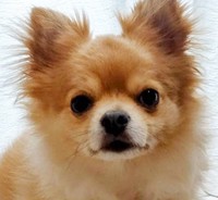 ついにラックの元に「うちにおいで」の吉報が！