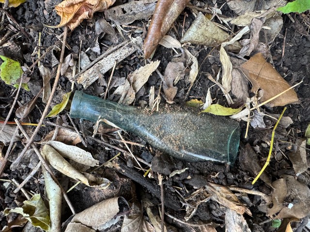 土の中から姿を現した、約100年前のカレー粉瓶／めぇちさん（@mechi_otakara）提供