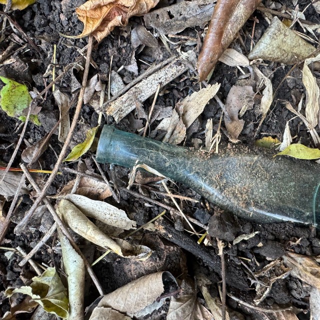 土の中から姿を現した、約100年前のカレー粉瓶／めぇちさん（@mechi_otakara）提供