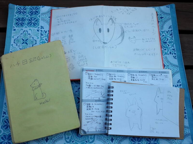 コノマエさんが子どもの頃から書き続けていたハチ日記。高齢になりほぼ二階の生活になったハチの様子を、階下の祖母に伝えるためにイラストを描き始めたという（コノマエヨミ子さん提供）